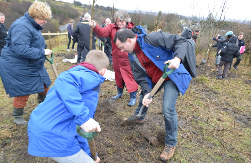 Tree planting