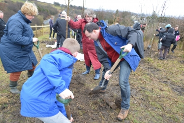 Tree planting